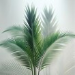 © Artsiom - Green palm with reeded glass. Plant leaves. Ribbed Background. Beautiful tree decor on blurred template. Abstract illustration on clean panel for modern beauty design. White Reeded Glass.