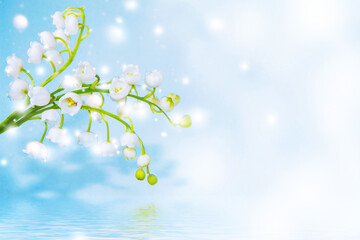 Wall Mural - Spring landscape. flowers lily of the valley