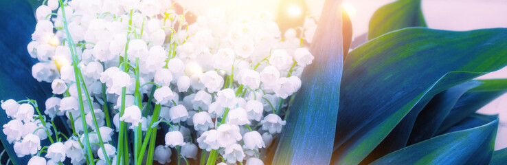 Wall Mural - Spring landscape. flowers lily of the valley