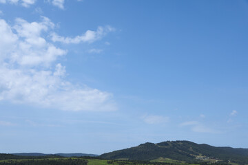 Wall Mural - beautiful view of forest in mountains under blue sky