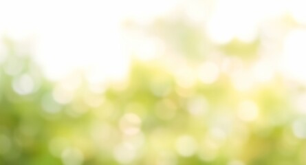 spring green bokeh background