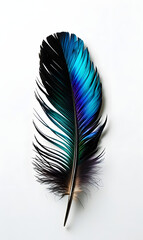 feather
