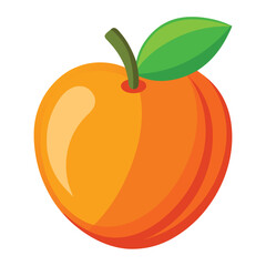 Peach vector Art, Icons, and Graphics illustration Isolated white background.