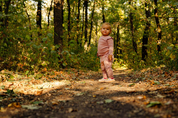 Toddler exploring a wooded path, playfully interacting with nature in autumn light during a sunny afternoon