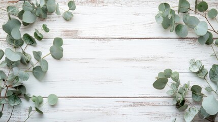 Eucalyptus branches on rustic white wooden background, minimalistic clean natural design with ample copy space.