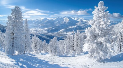 Wall Mural - A panoramic view of a snow-covered mountain range.