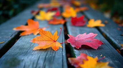 Canvas Print - Colorful leaves on a wooden walkway