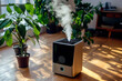 © ElenaX - Modern air humidifier operating in cozy home interior
