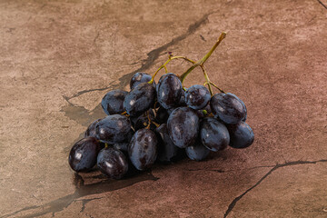 Blue juicy sweet ripe Grape bunch