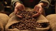 © MP Studio - The Hands Holding Coffee Beans