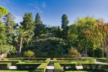 autumn, park, nature, trees, view, landscape, scenery, plants, a