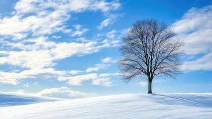 Wall Mural - A lone tree rises from a snow-covered field, with a vibrant blue sky and delicate clouds above, symbolizing solitude and the serene beauty of winter.