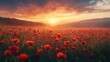 © Svitlana - Field with poppies at dawn.