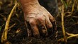 © Ben Kuang - Close-up of a dirty hand working in the soil, representing agriculture and nature.