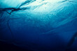 © Taigi - Extreme close up of blue empty plastic bag background. The plastic surface is wrinkly and tattered making abstract pattern. Selective focus, shallow depth of field.