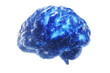 © Only PNG - A low-poly brain with neural pathways represented by glowing blue patterns, on a white background