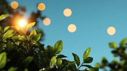 Canvas Print - Lush Green Foliage Against a Blue Sky with Bokeh Lights