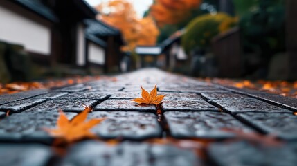 Autumn leaves on a cobblestone path, surrounded by vibrant fall colors and serene architecture.