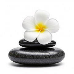 spa treatment with white flower on black stones