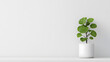 © A2Z AI  - Pilea Peperomioides in a White Pot on White Background: A Stylish and Minimalist Indoor Plant Display