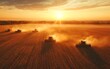 © Sasint - Large agricultural field with combine harvesters at work, aerial view, sunset