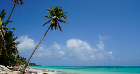 Wall Mural - tropical beach on zanzibar island