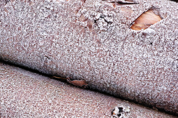 Aufkleber - A piece of wood covered in frost and snow. The wood appears to be old and weathered, with a rough texture. The frost and snow give the wood a cold and desolate appearance