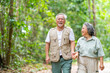 © CandyRetriever  - Happy Asian family senior couple walking together on tropical forest trail. Healthy elderly people enjoy and fun outdoor active lifestyle travel nature hiking and camping in jungle on summer vacation.