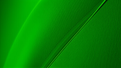 Green leaf background close up view. Nature foliage abstract of leave texture for showing concept of green business and ecology for organic greenery and natural product background. 3D illustration.