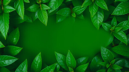 Green leaves eco-friendly background with place for text. Concept of ecology and healthy environment