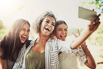 Wall Mural - Show your cutest poses on the count of three. Shot of a group of friends taking a selfie together outdoors.