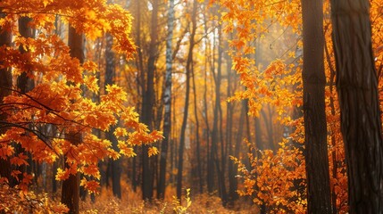 Aufkleber - The forest is illuminated by soft sunlight filtering through trees, highlighting bright leaves in stunning autumn colors. Generative AI
