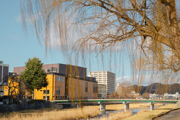 Canvas Print - Winter of riverside park and rural city view in Morioka, Iwate, Japan