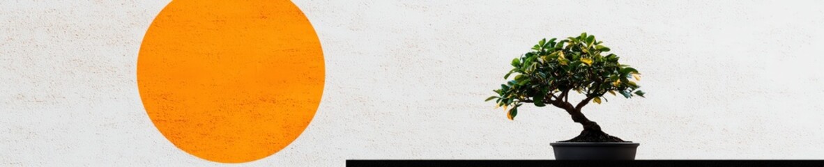 Black bonsai silhouette against a rising sun on a white background