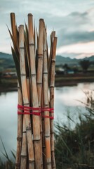 Wall Mural - an empty scene featuring blank mockup template of tall sugarcane stalks tied together with red threa