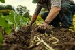 © peerawat - A farmer using a no-till technique on a regenerative farm, with healthy soil full of organic matter and roots.