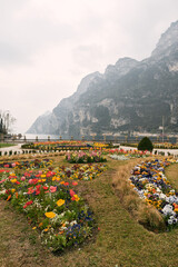 Blooming garden in park with scenic mountains