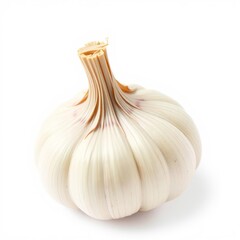 garlic isolated on white background clipping path full depth of field