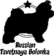 Russian Tsvetnaya Bolonka. dog silhouette,  dog, dog breeds, logo, vector, silhouette, logo design, animal, illustration, icon, sign, design, black,  symbol, pet