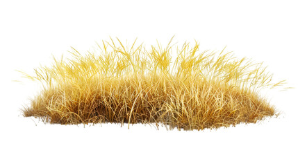 Fototapete - yellow grass png