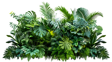 Fototapete - greenery transparent png