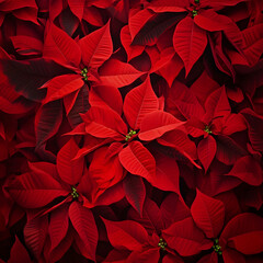 Wall Mural - Abstract background with red Poinsettia leaves. Vertical composition.