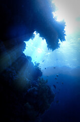 Wall Mural - Underwater photo of a dreamlike and etheral environment. From a cave scuba dive in rays of sunlight.