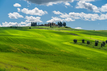 Wall Mural - Beautiful Tuscany landscape view in Italy