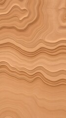 Poster - Abstract wood grain texture in warm tones.