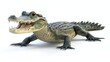 © Gia - Realistic Plastic Alligator Toy with Detailed Features