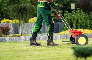 Wall Mural - Gardener Using a Lawn Spreader to Maintain Green Grass in a Well-Kept Garden During Daylight