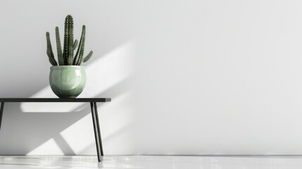 Wall Mural - Cactus Plant on a Black Table Against a White Wall