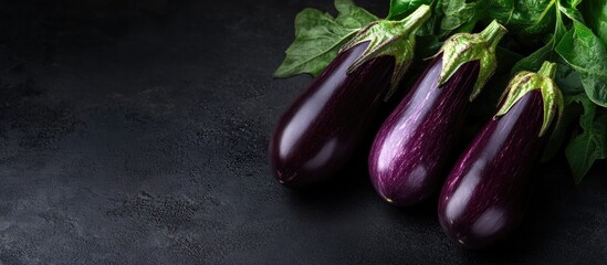 Poster - Fresh eggplants on a dark backdrop. with copy space image. Place for adding text or design