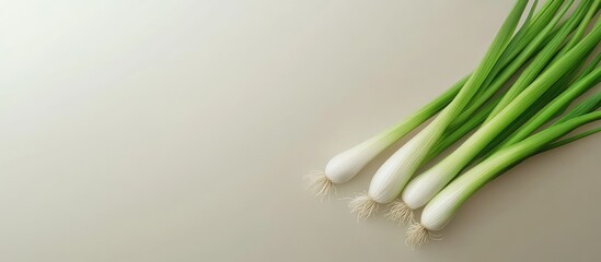 Poster - Green onion the idea of fresh vegetables fresh uncooked food. with copy space image. Place for adding text or design